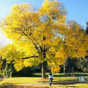 Meet your Posher, Farah